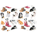 Tapete Comedouro Antiderrapante para Pets