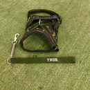 Peitoral Califórnia com Guia Personalizada