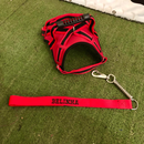 Peitoral Califórnia com Guia Personalizada