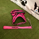 Peitoral Califórnia com Guia Personalizada