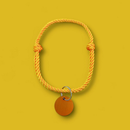 Coleira com Plaquinha de Identificação Personalizada