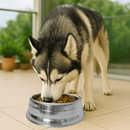 Comedouro Pesado Polido de Alumínio Para Cães Pote De Ração Resistente