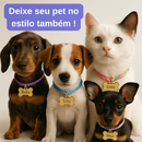 Coleira Rosa de Cachorro com Pingente Nome e Numero Personalizado B4