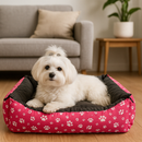 Kit Cama Pet Manta Grande 80x60cm Caminha Pet Casinha Impermeável Cachorro Gato