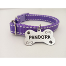 Coleira Personalizada com Plaquinha de Identificação para Cachorro