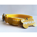 Coleira de Nylon com Placa de Identificação Personalizada