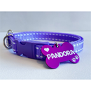 Coleira de Nylon com Placa de Identificação Personalizada