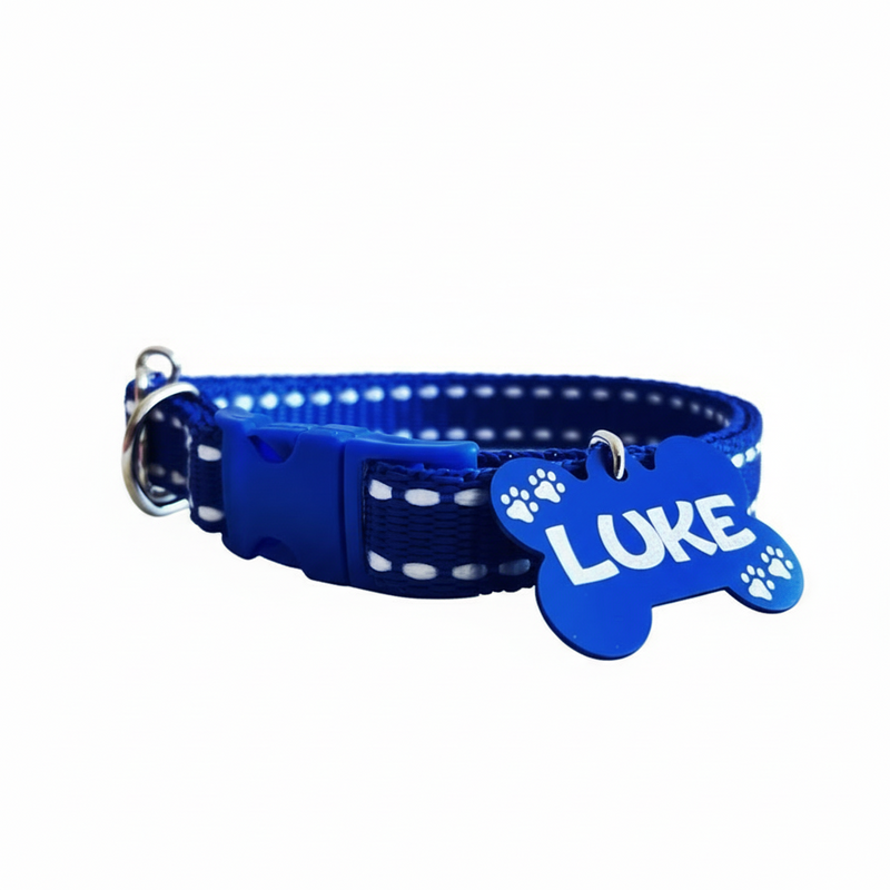 Coleira para cachorro com plaquinha de identificação