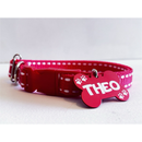 Coleira de Nylon com Placa de Identificação Personalizada