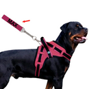 coleira e Guia para cachorro nome personalizado coleira peitoral conforto peiteira sistema amortecedor impacto regulagem