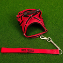 COLEIRA PERSONALIZADA REFORÇADA COM GUIA PARA CÃES DE PORTE GRANDE E MÉDIO