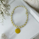 Coleira com Plaquinha de Identificação Personalizada