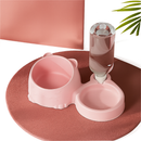 Comedouro Duplo Anti Formiga Pet Bebedouro automático suporte para Garrafa cachorro gato coelho