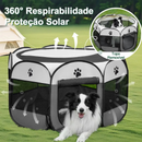 Casinha Para Pets Gatos Grande Dobrável Portátil 4 Cores