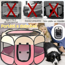 Casinha Para Pets Gatos Grande Dobrável Portátil 4 Cores