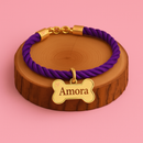 Coleira Ajustável com Plaquinha de Identificação