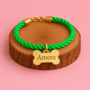 Coleira Ajustável com Plaquinha de Identificação