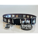 Coleira Anti-Enforcamento com Plaquinha de Identificação Personalizada para Gatos