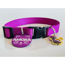 Coleira Anti-Enforcamento com Plaquinha de Identificação Personalizada para Gatos