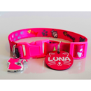 Coleira Anti-Enforcamento com Plaquinha de Identificação Personalizada para Gatos