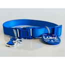 Coleira Anti-Enforcamento com Plaquinha de Identificação Personalizada para Gatos