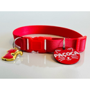 Coleira Anti-Enforcamento com Plaquinha de Identificação Personalizada para Gatos