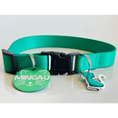 Coleira Anti-Enforcamento com Plaquinha de Identificação Personalizada para Gatos