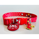 Coleira Anti-Enforcamento com Plaquinha de Identificação Personalizada para Gatos