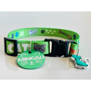 Coleira Anti-Enforcamento com Plaquinha de Identificação Personalizada para Gatos