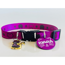 Coleira Anti-Enforcamento com Plaquinha de Identificação Personalizada para Gatos