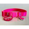 Coleira Anti-Enforcamento com Plaquinha de Identificação Personalizada para Gatos