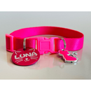 Coleira Anti-Enforcamento com Plaquinha de Identificação Personalizada para Gatos