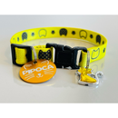 Coleira Anti-Enforcamento com Plaquinha de Identificação Personalizada para Gatos