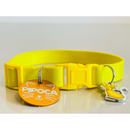 Coleira Anti-Enforcamento com Plaquinha de Identificação Personalizada para Gatos