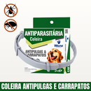 Coleiras Antipulgas e Carrapatos Antiparasitária Dugs Para Cães World Veterinária