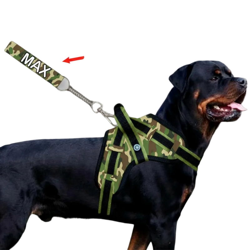 COLEIRA PERSONALIZADA REFORÇADA COM GUIA PARA CÃES DE PORTE GRANDE E MÉDIO