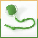 Bola Inteligente Interativa Automática para Gatos